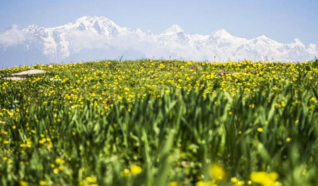 Nanda-Devi-Biosphere-Reserve.jpg