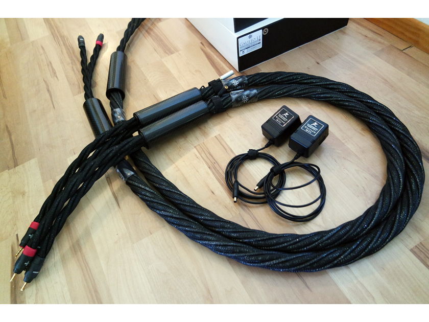 Synergistic Research Galileo LE Speaker Cables 8ft - showroom demo in great condition