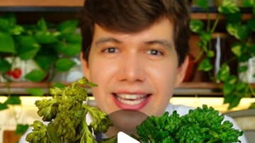 Main Content Image