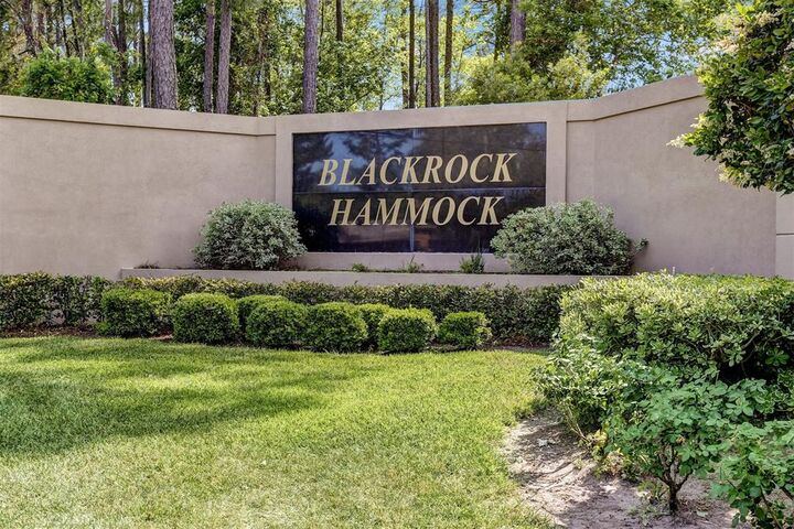 96030 Blackrock Hammock Drive, Yulee, FL 32097