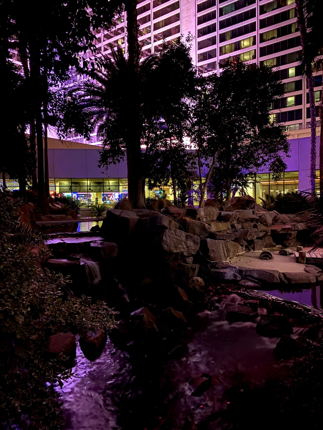 Flamingo Wildlife Habitat Las Vegas reviews photo