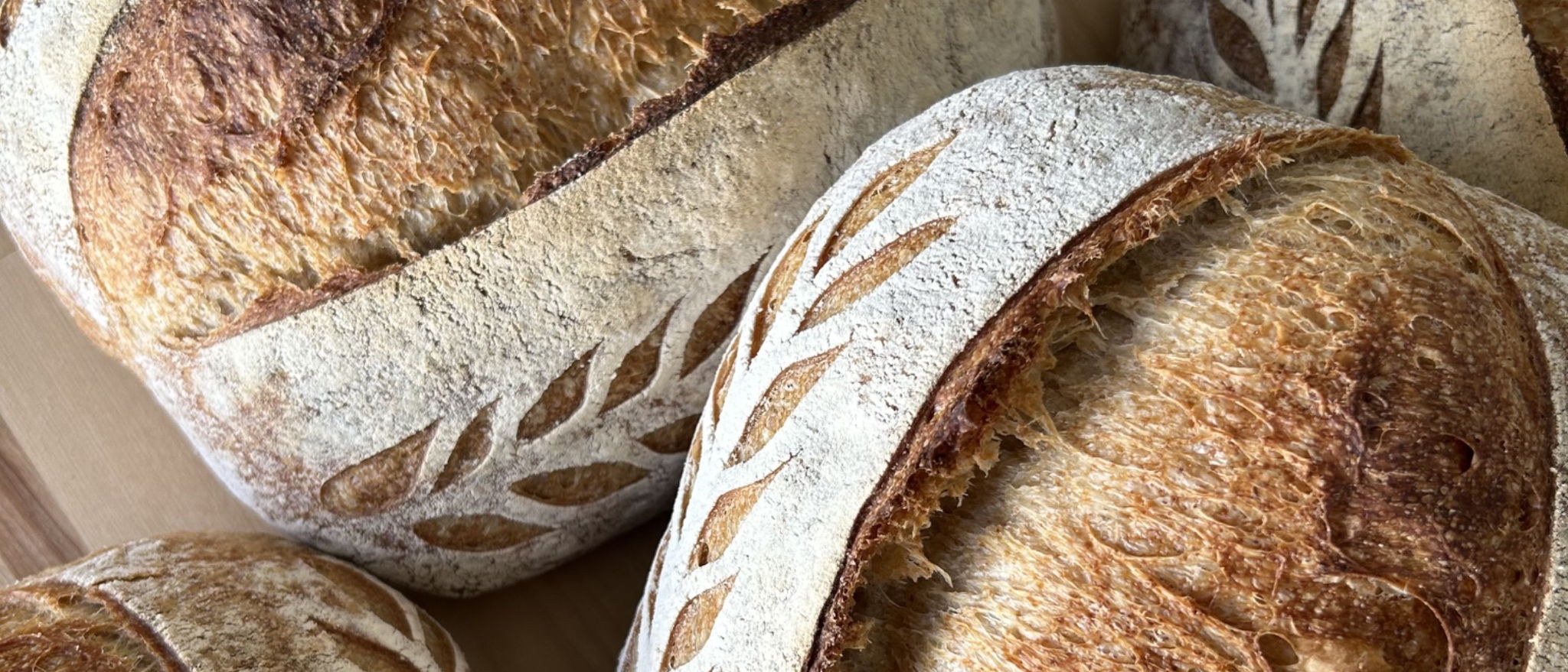 Faith Bakes | Faith Spieker — photo from hotplate.com