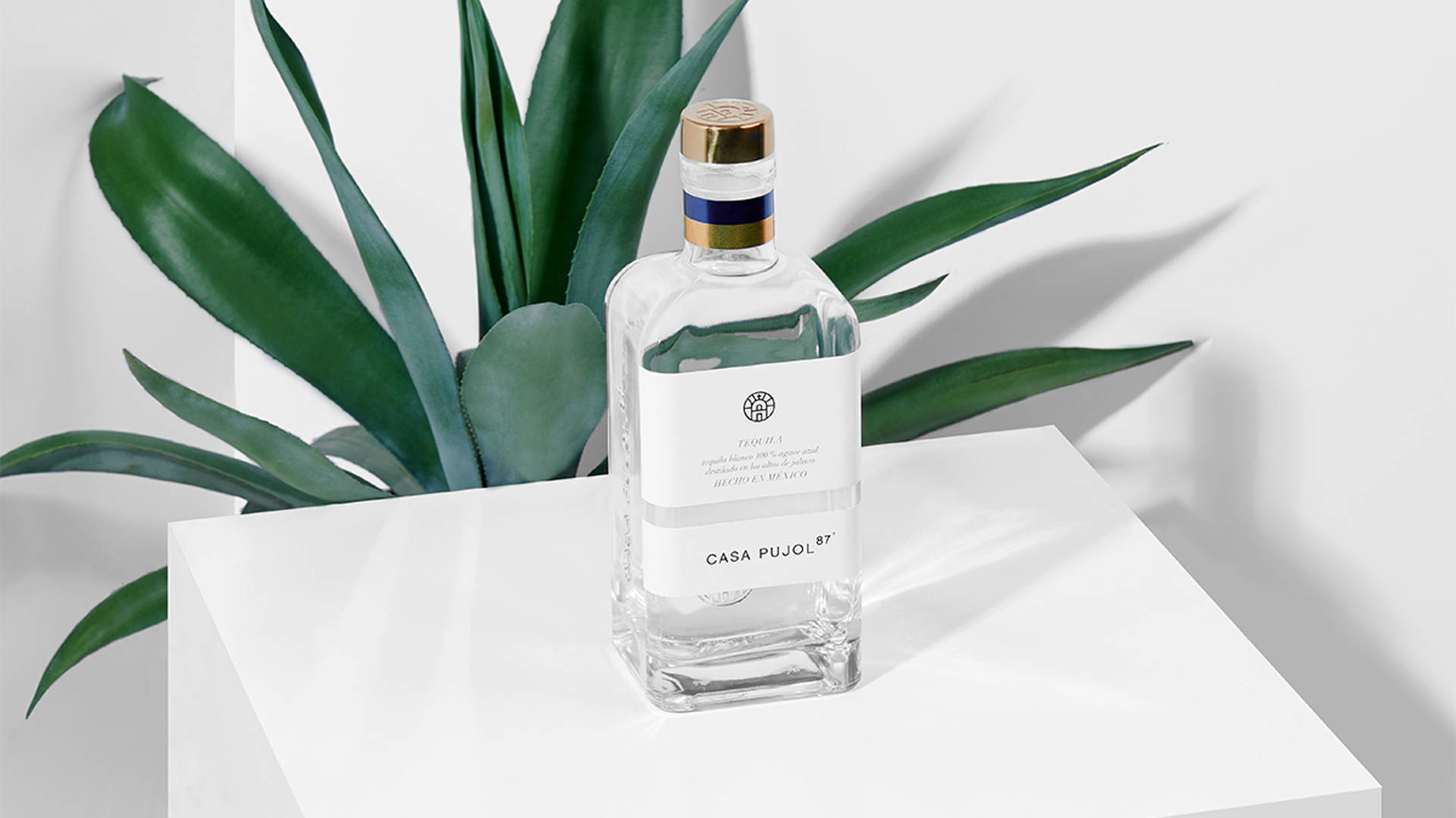 Featured image for This Tequila With Mexican Origins is Nothing But Elegance