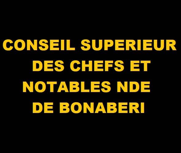 CONSEIL SUPÉRIEUR DES CHEFS ET NOTABLES NDE DE BONABERI