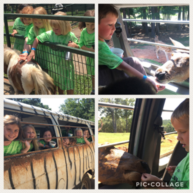 Our Summer Adventures are getting "Wild"!
