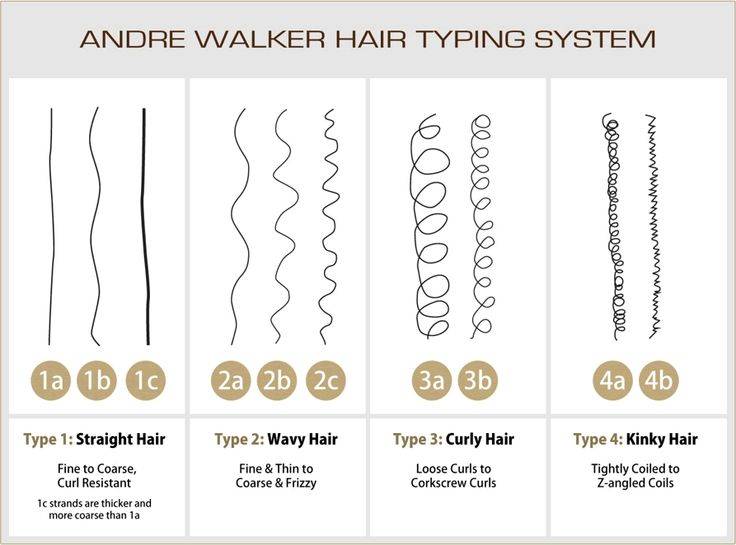 Andre walking hair typing system