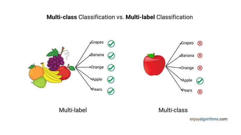 What is the difference between multi-class classification and multi-label classification?