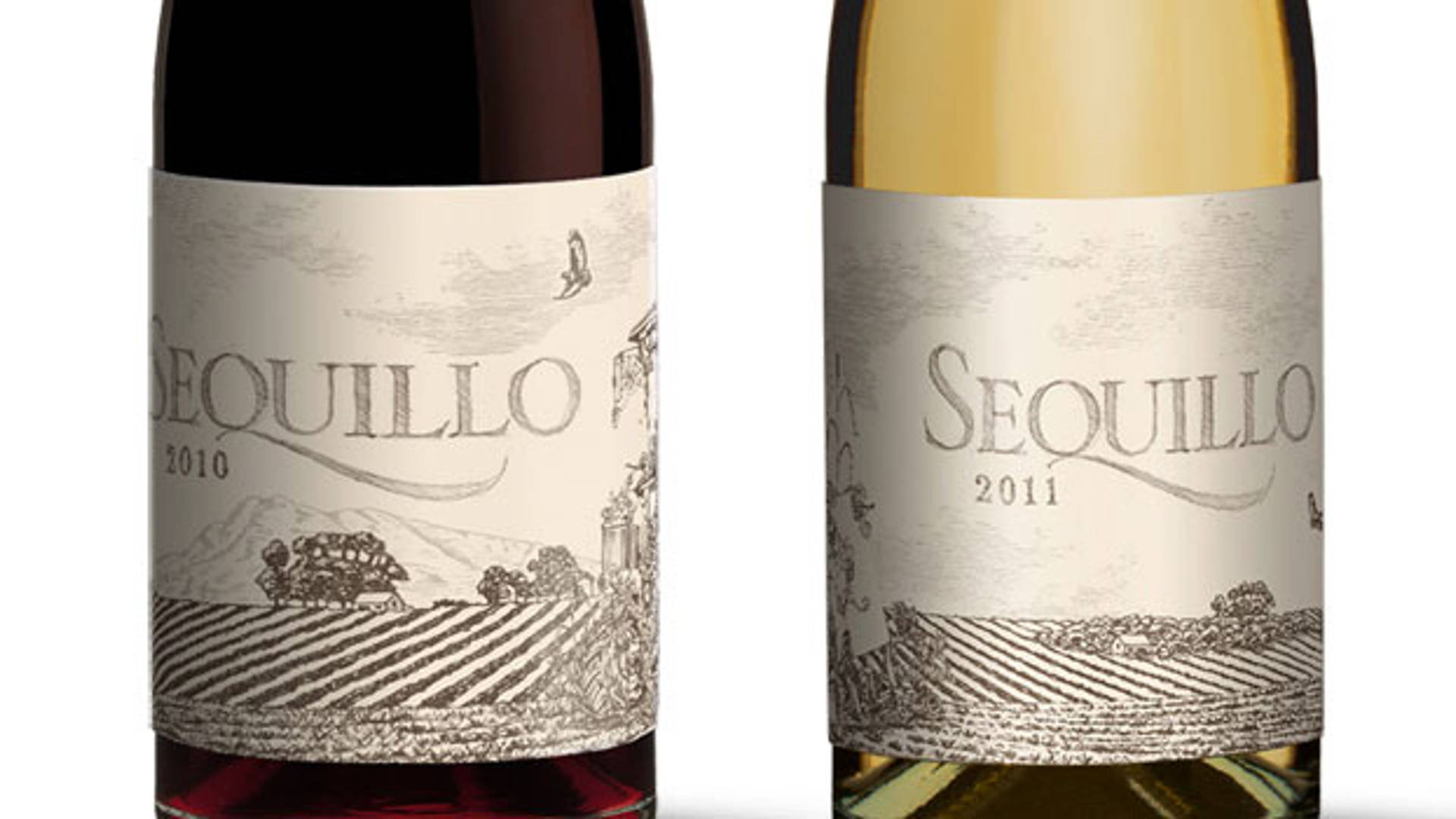 Featured image for Sequillo Wine