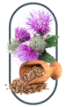 Milk thistle used in the best Multivitamins for men