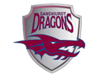 Sandhurst cricket club Logo