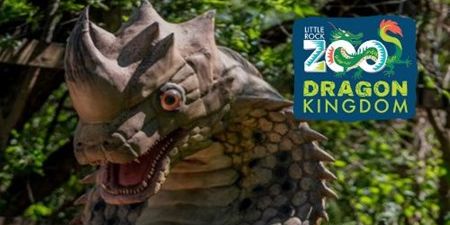 Dragon Kingdom: June Adult Night promotional image