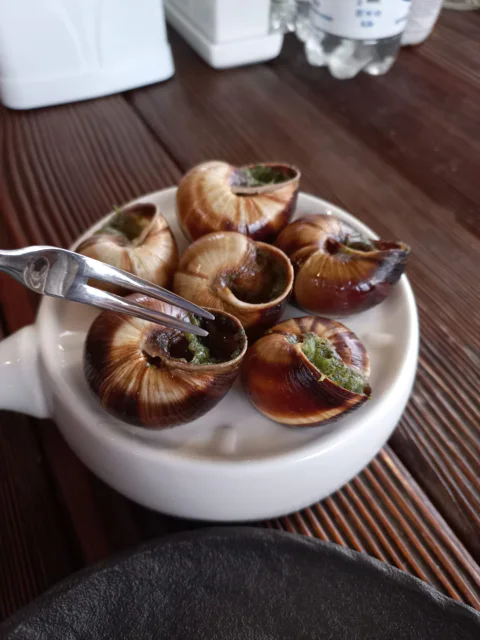 Вино. Море. Улитки.