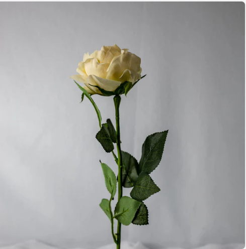 Pale Peach David Austin Half Bloom Real Touch Rose - Realistic Artificial Flowers - Image 3