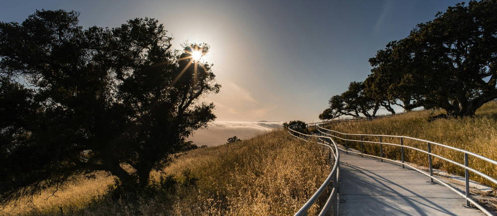 a bike path in Palo Alto