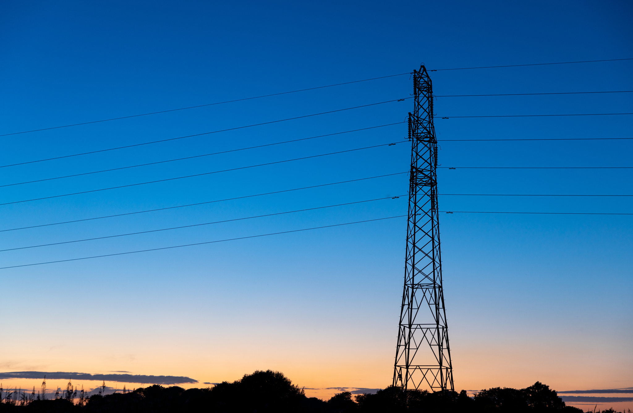 Supporting National Grid: Vegetation Clearance for Morgan Sindall