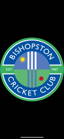 Bishopston Cricket Club logo