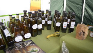 guido geisens lumbricus waren