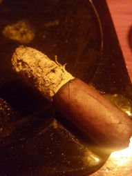 Cigar Session Photo