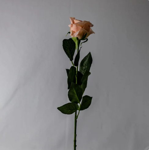 Pink Candy Real Touch Half Bloom Rose - Realistic Artificial Flowers - Image 3