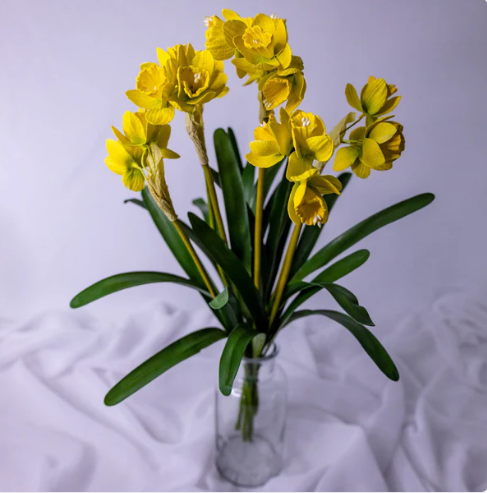 Narcissus/Jonquils - Realistic Artificial Flowers - Image 2