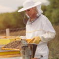 female-beekeeper-caring-for-honeybee-hive
