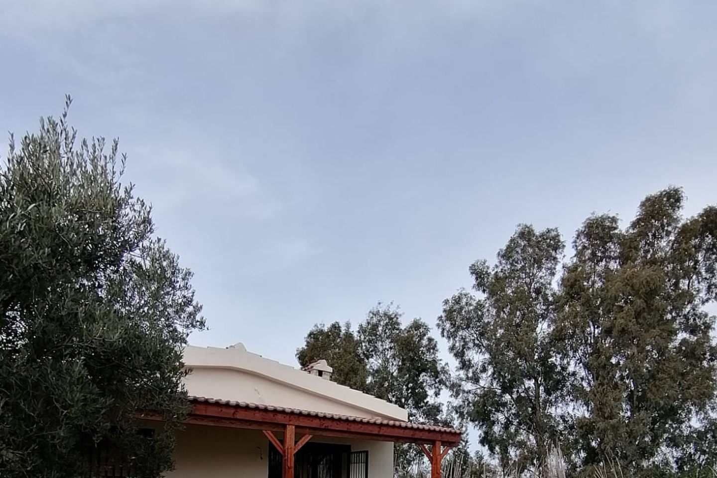 slider-image