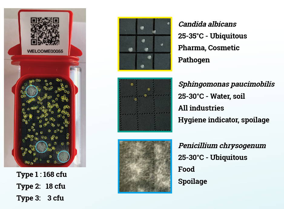Environmental Monitoring Plans and Plant Mapping. Observing and recording microbial populations provides valuable information for preventing cross-contaminations.