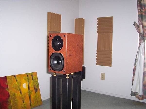 Picture 001