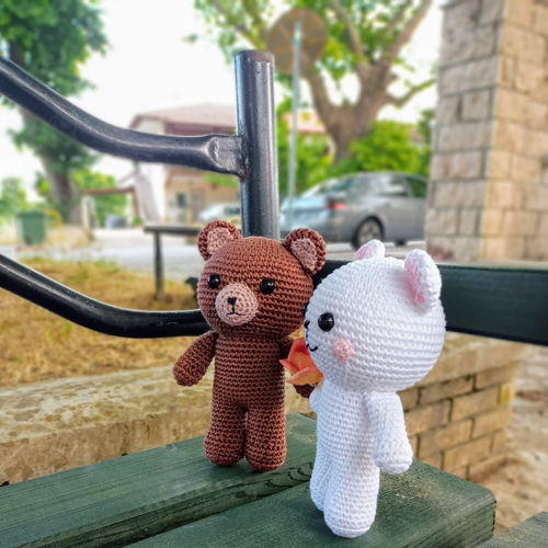 Bruine en witte berenpaar