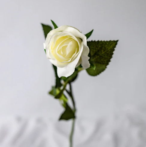 White Real Touch Open Bud Rose - Realistic Artificial Flowers