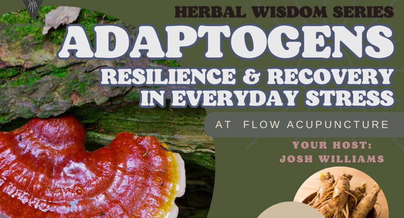 Adaptogens - Herbs for Stress, Resilience, and Protection