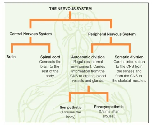 Getting on your nerves? Let's stick it to ya..