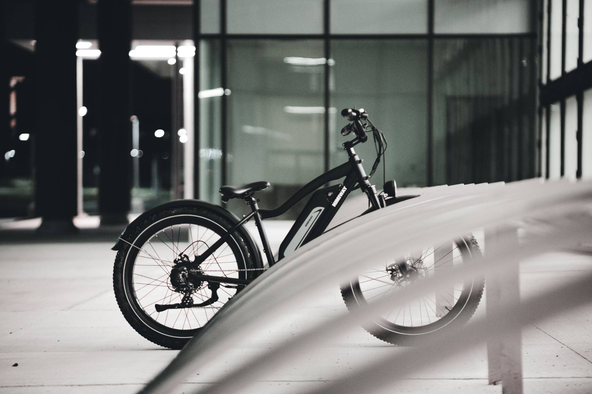 mountain bike elettrica