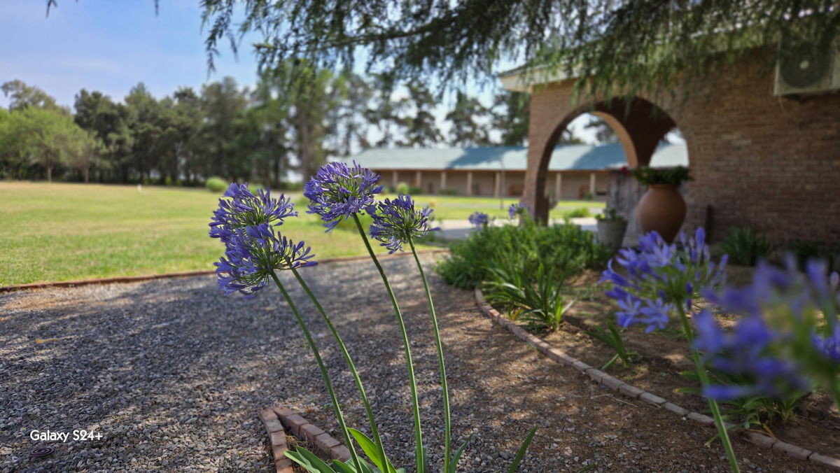 The arched entrance and gardens of the lodge
