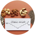 Foods containing oleic acid found in the best fat burner supplement 