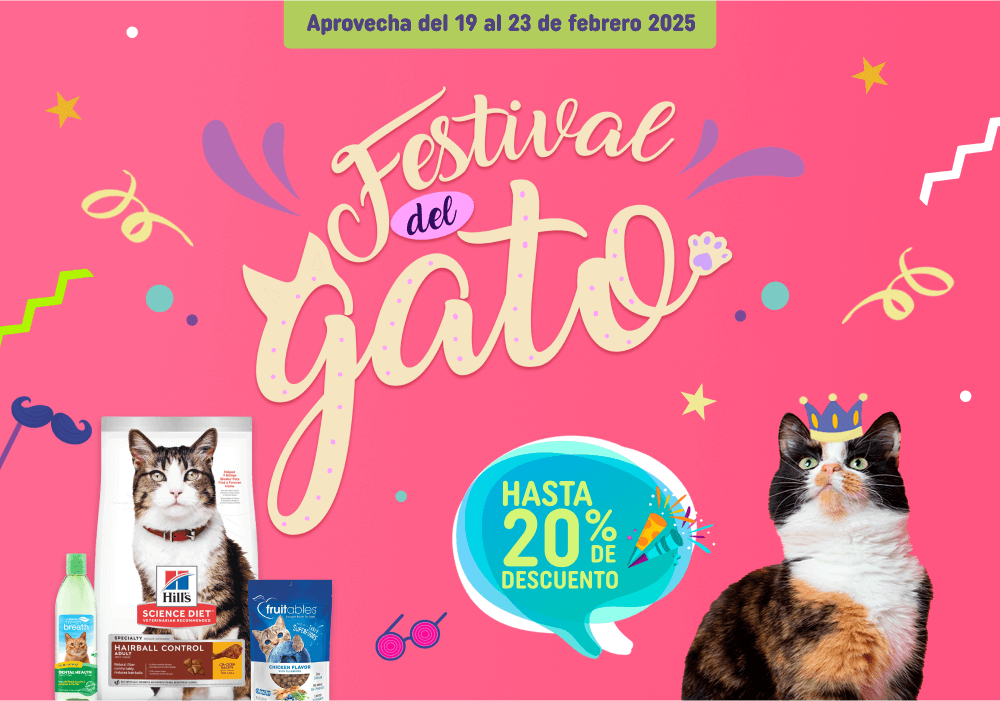 festival del gato 20% descuento