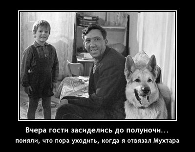 Вчера гости засиделись до полуночи. Поняли, что пора уходить, когда я отвязал Мухтара.