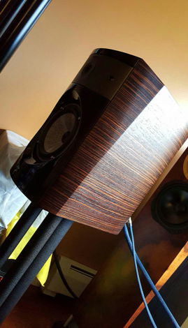 FOCAL ELECTRA 1007 S Beautiful! Macassar f For Sale | Audiogon