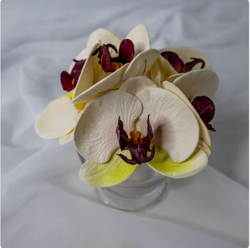 White, Pink and Green Phalaenopsis Flowerhead (6 Pack) - Realistic Artificial Flowers