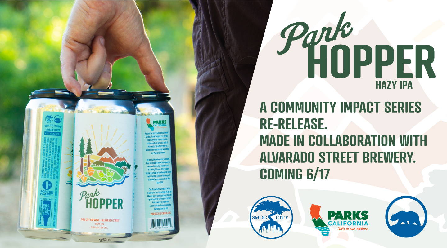 Park Hopper Hazy IPA
