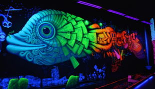 bg pit pat wonderland d minigolf neon fisch