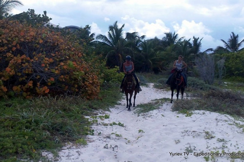 Мексиканское ранчо: дневные и ночные (полнолунные) туры на пляже и джунглям.