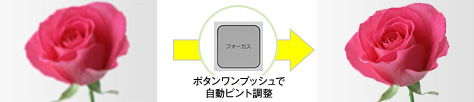 ワンプッシュオートフォーカス