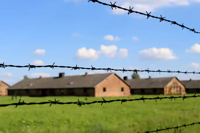 Auschwitz-Birkenau Skip-the-Line Guided Tour w/ Lunch