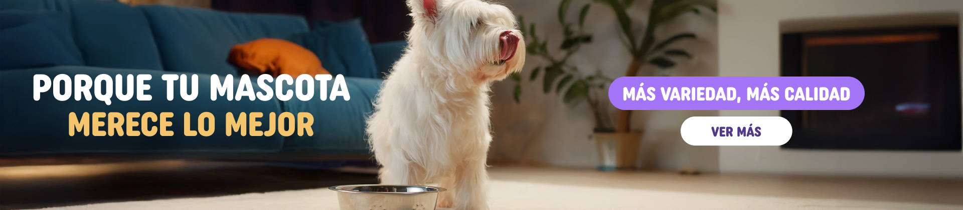 zignature - energía real para su día a día