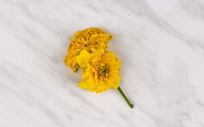 Organic Whole Calendula Flower