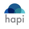 Hapi Connect for Salesforce