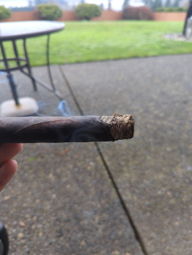 Cigar Session Photo