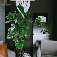 ceed-designs-contemporary-minimalistic-malaysia-penang-others-office-interior-design