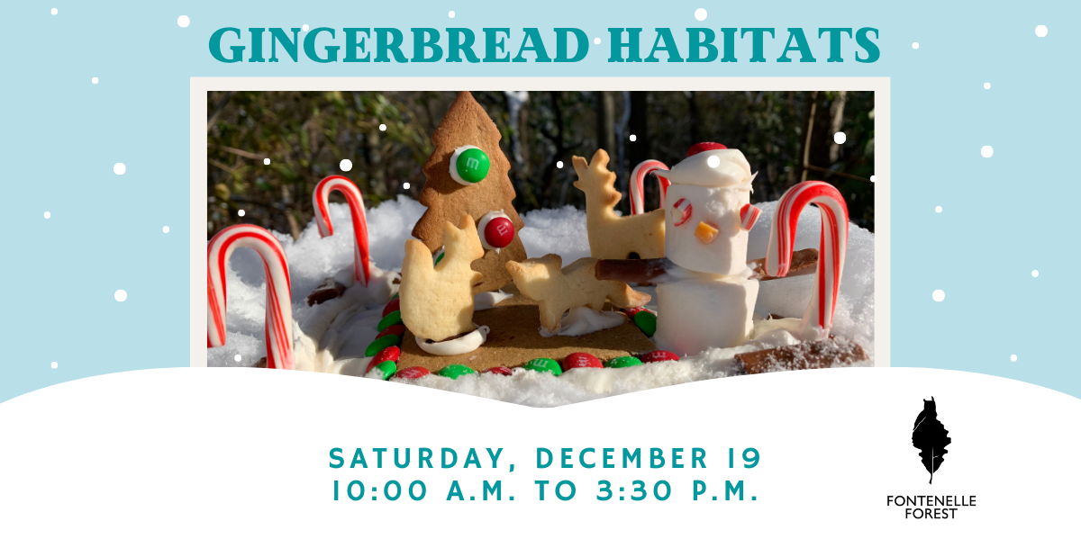 Gingerbread Habitats promotional image